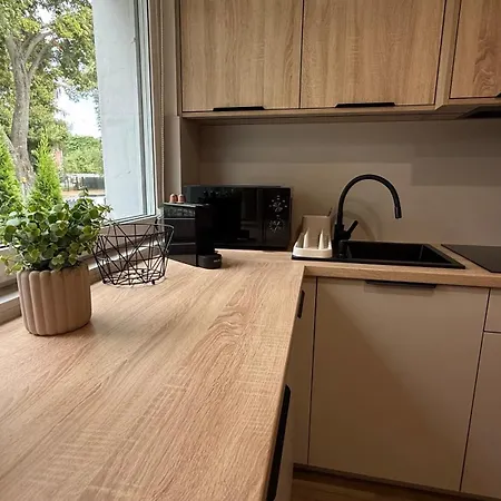 Rocha 159 - Blisko Jasnej Gory - Free Parking Apartmán *