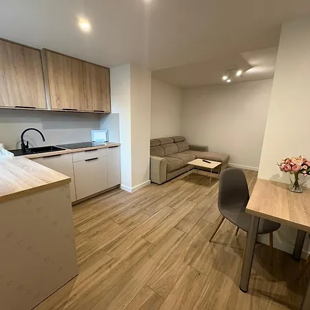 Apartment Rocha 159 - Blisko Jasnej Gory - Free Parking *