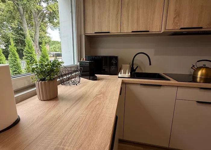 Rocha 159 - Blisko Jasnej Gory - Free Parking Apartmán *