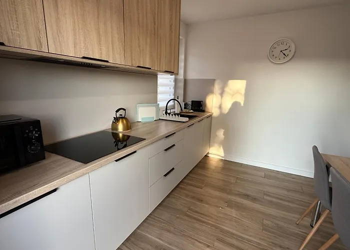 Rocha 159 - Blisko Jasnej Gory - Free Parking * Częstochowa