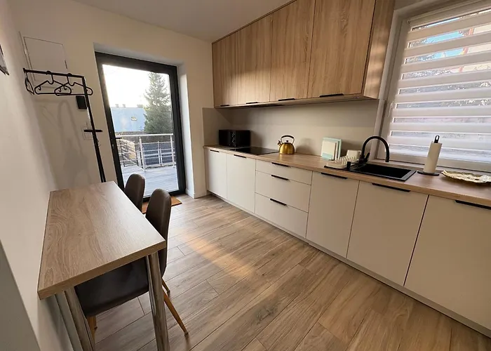 Rocha 159 - Blisko Jasnej Gory - Free Parking * Częstochowa